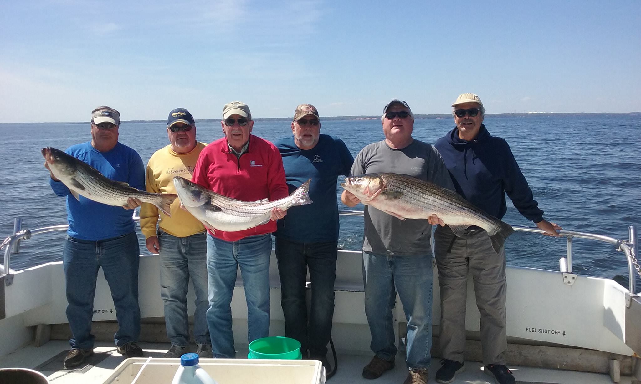 Nice Catch Of Maryland Rockfish!