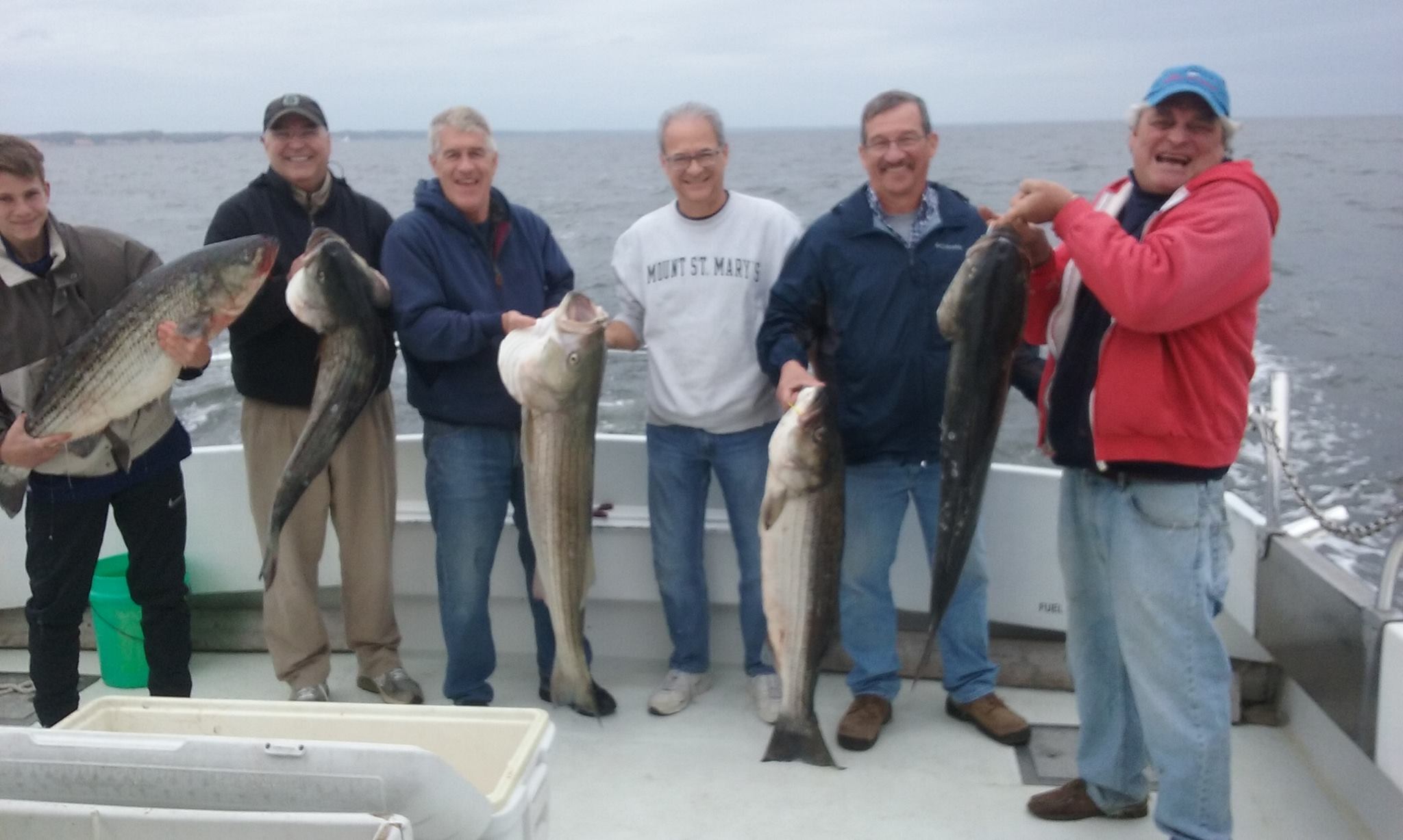 Biggest Rockfish Yet This Season!