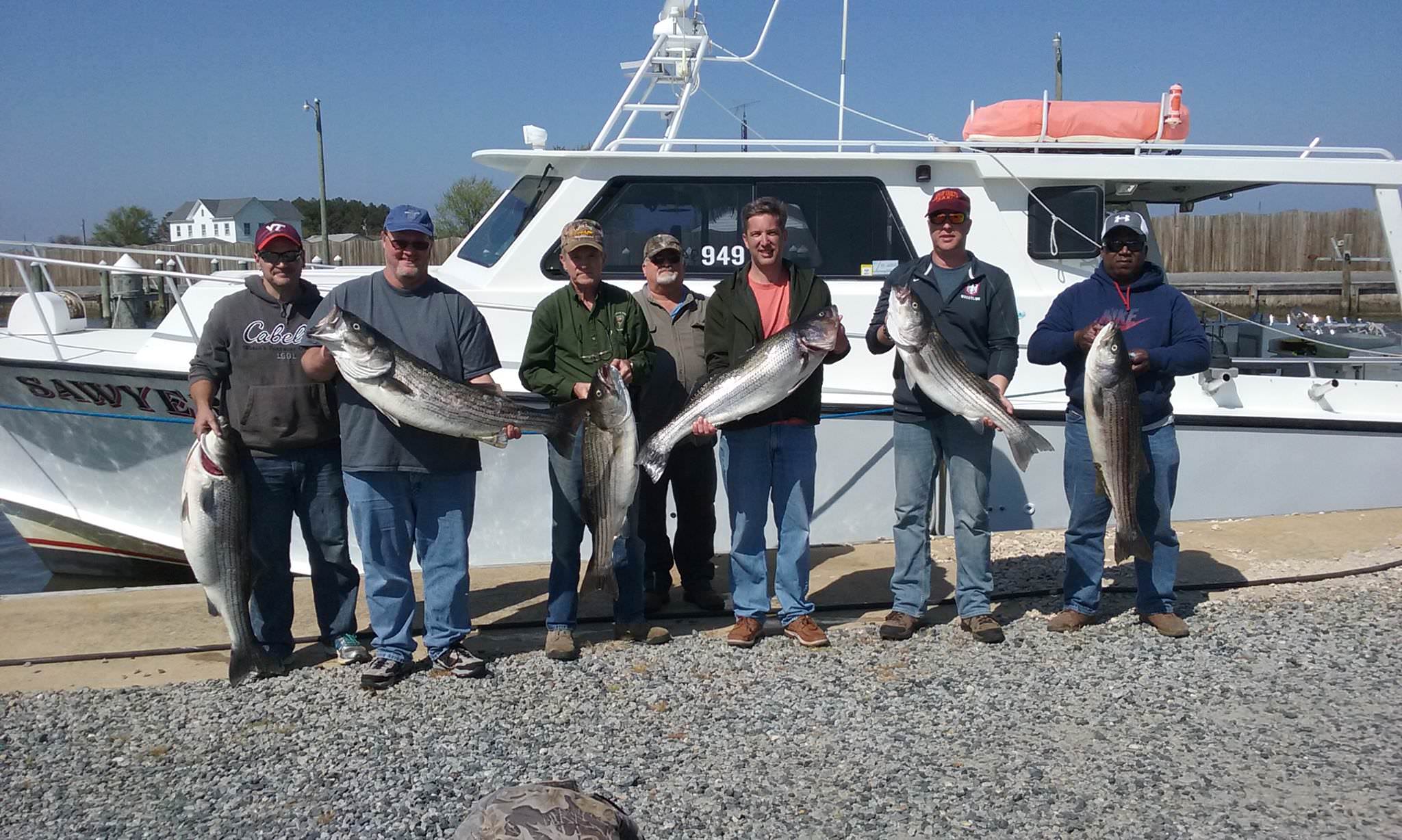 Nice Catch Of Maryland Rockfish For Longtime Customers