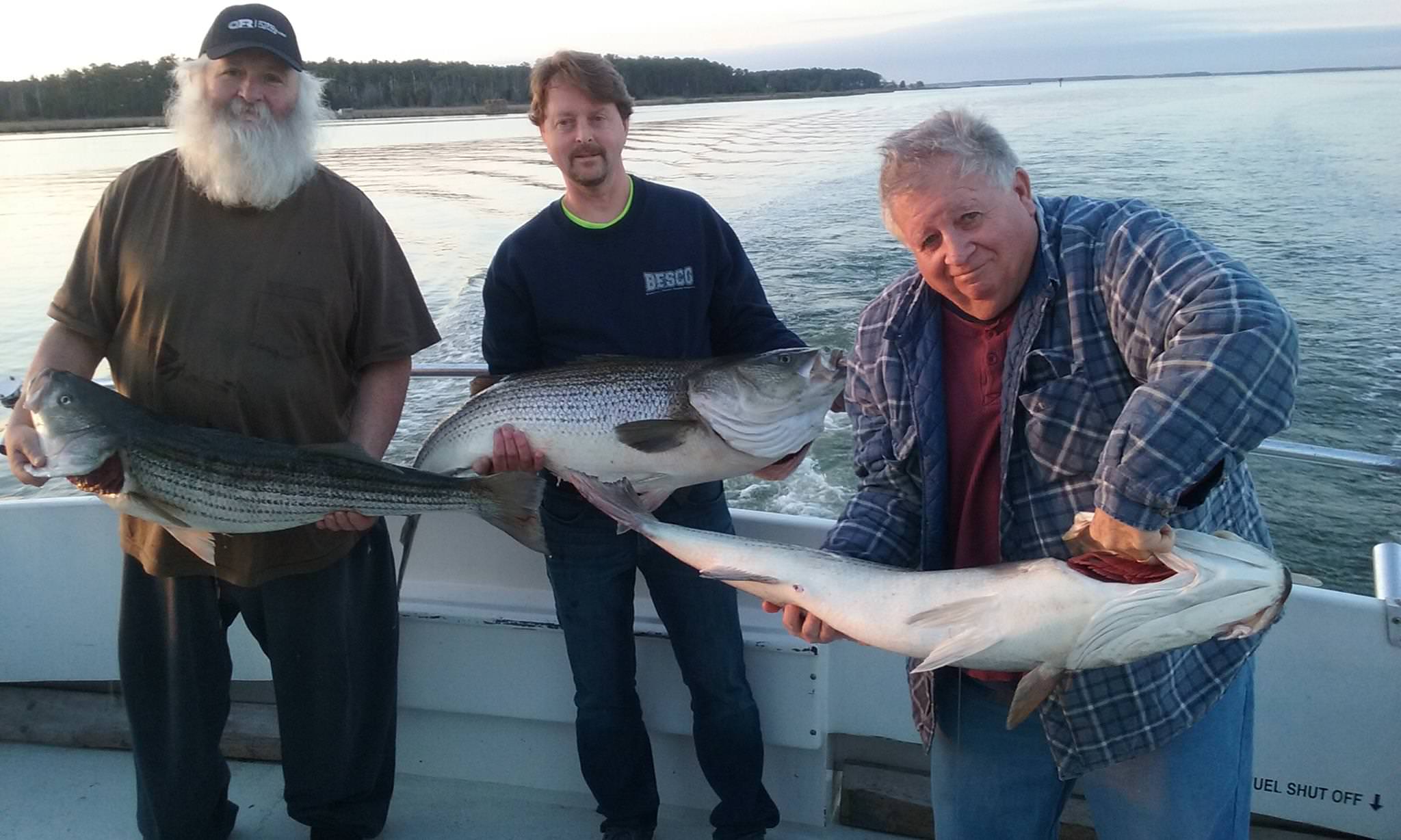 More Pretty Fish From Maryland's Eastern Shore!