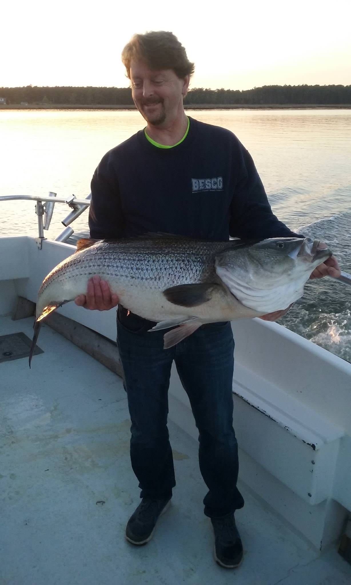 Huge Maryland Rockfish Caught On The Eastern Shore!