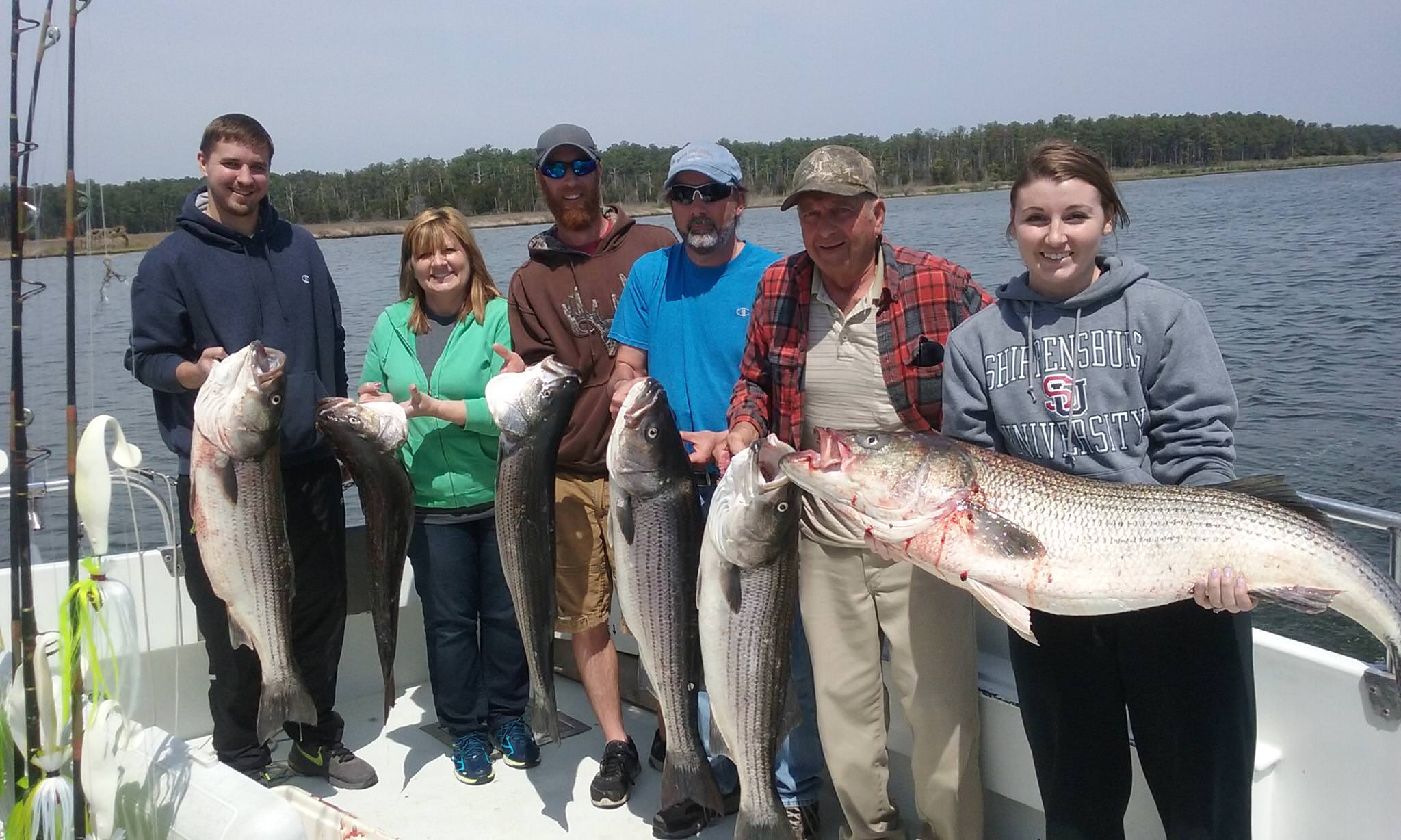 A BIG Limit Of Maryland Rockfish On The Chesapeake Bay!