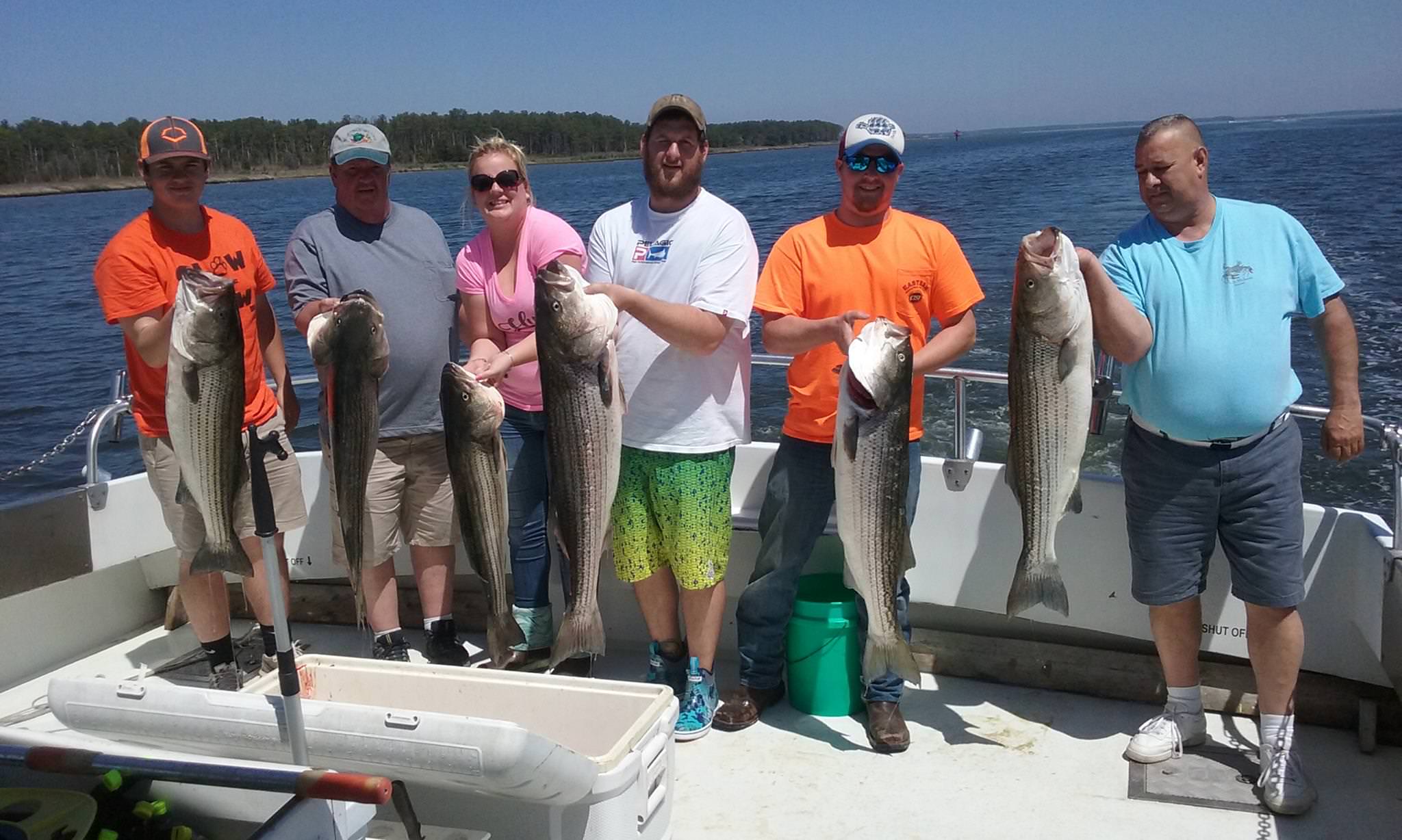 Awesome Catch Of Rockfish Yet Again!