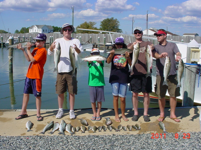 Maryland Charter Fishing For Rockfish!