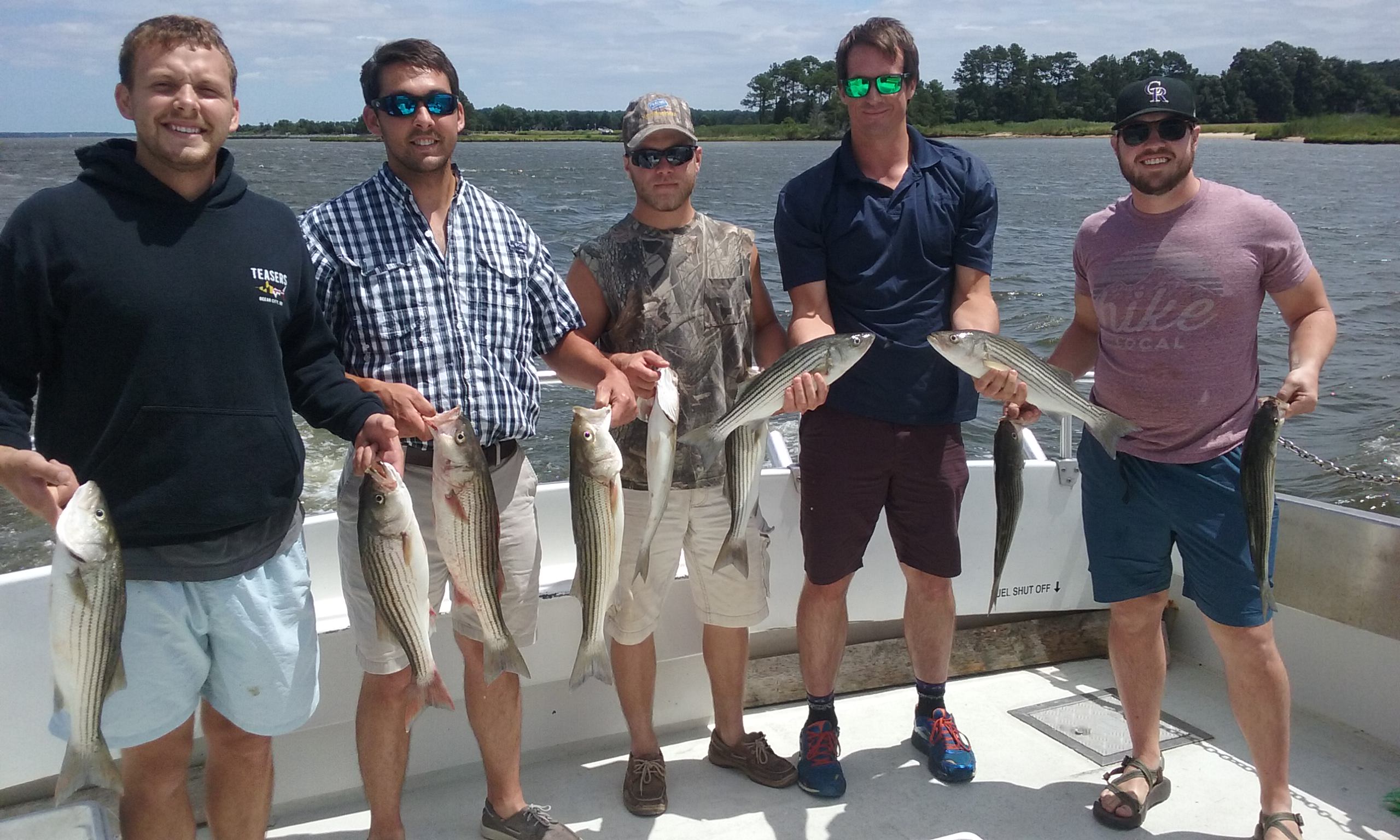 Maryland Charter Fishing for Rockfish!
