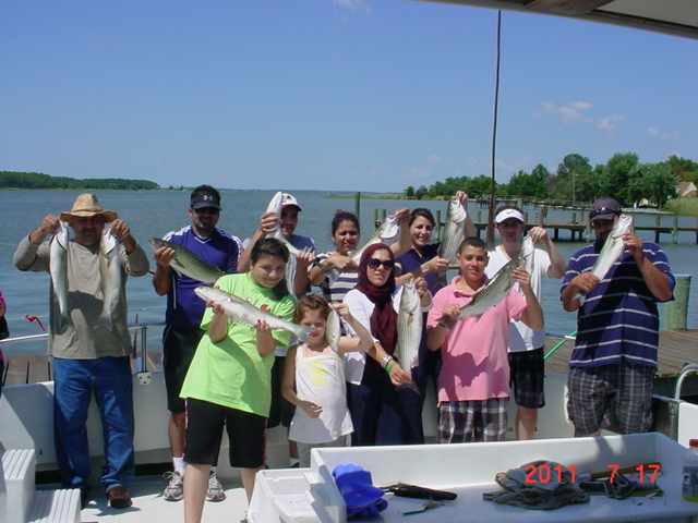 Another Fine Catch of Chesapeake Bay Rockfish!