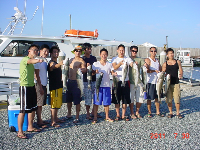 Maryland Charter Fishing For Rockfish