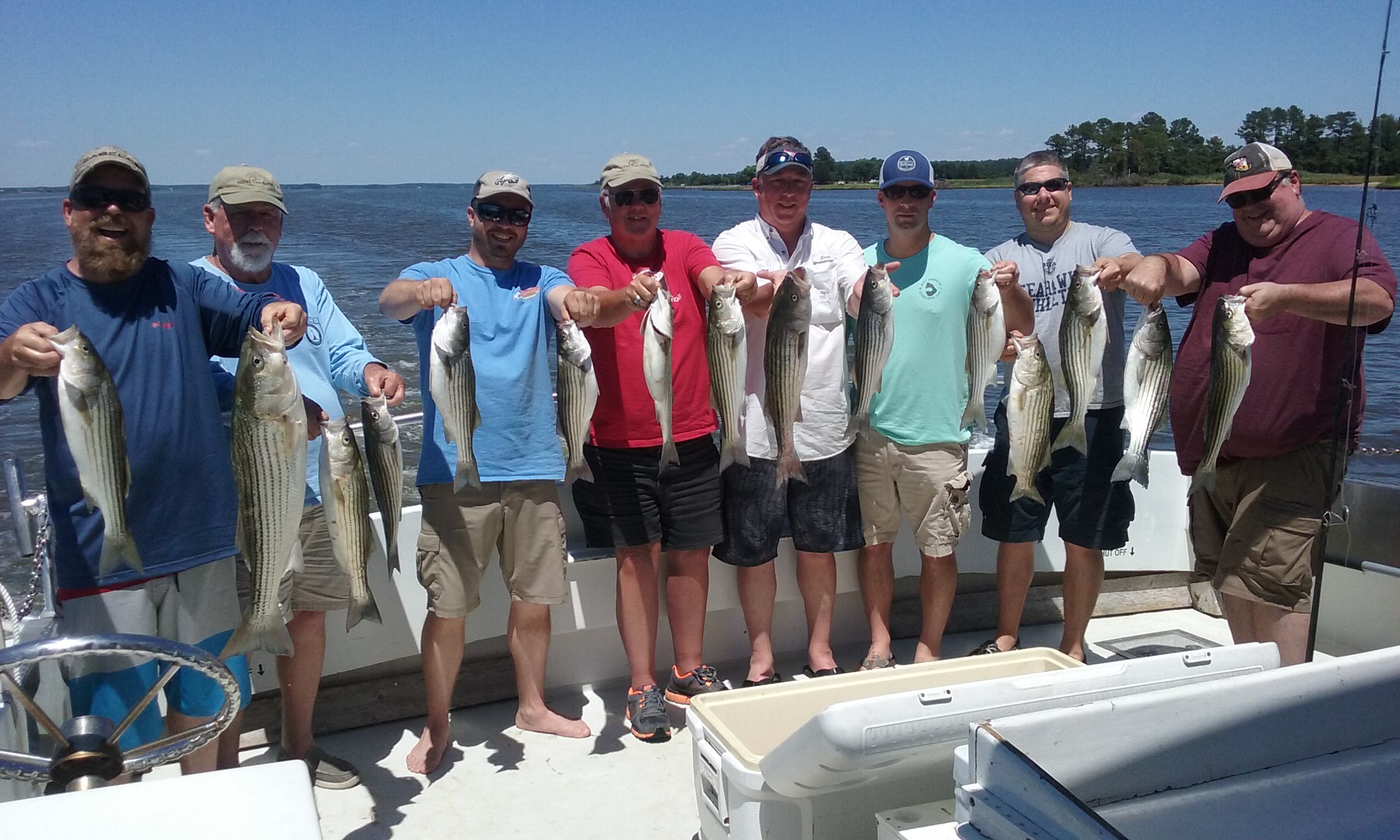 Fantastic Day of Maryland Charter Fishing Action