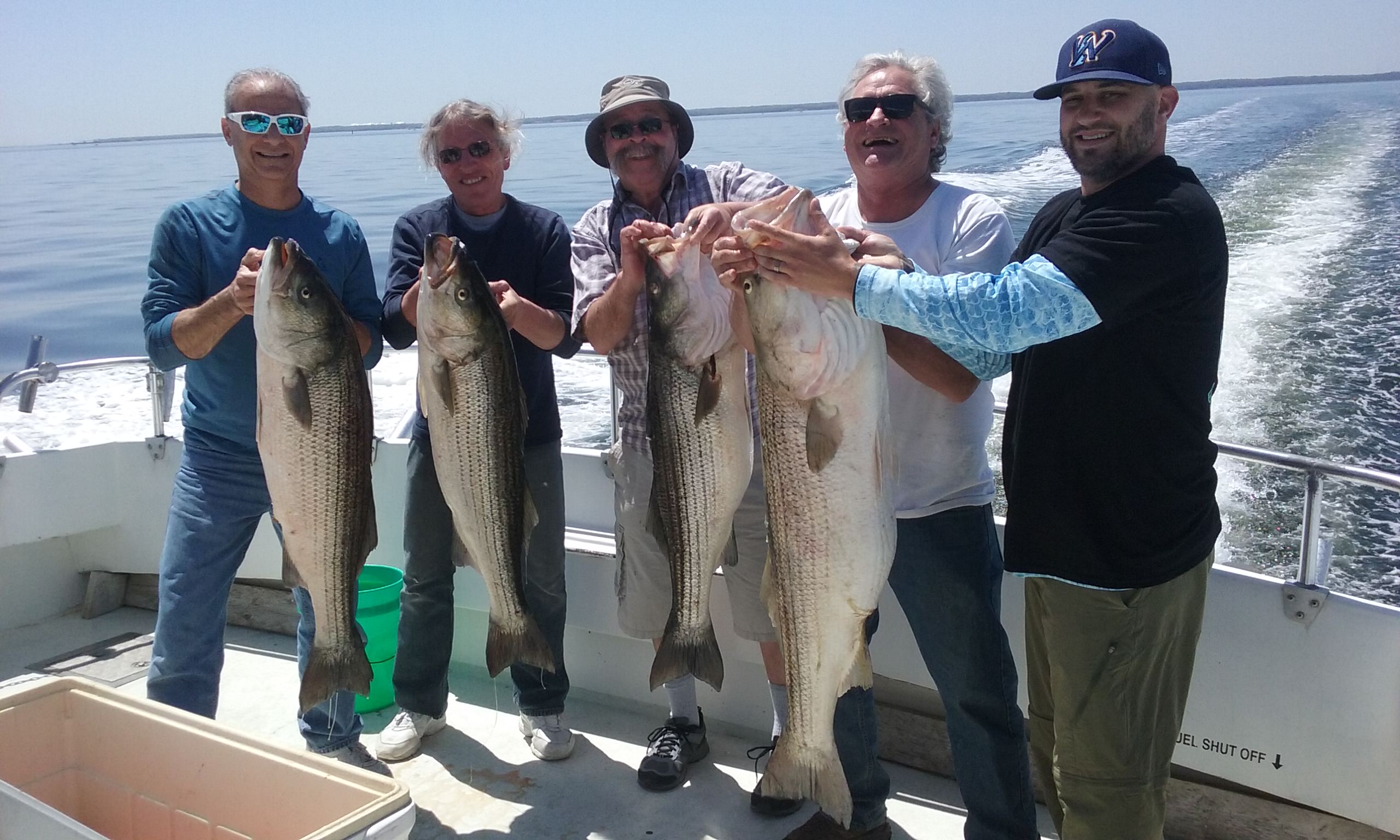 BIG Whoppin' Monster Rockfish!