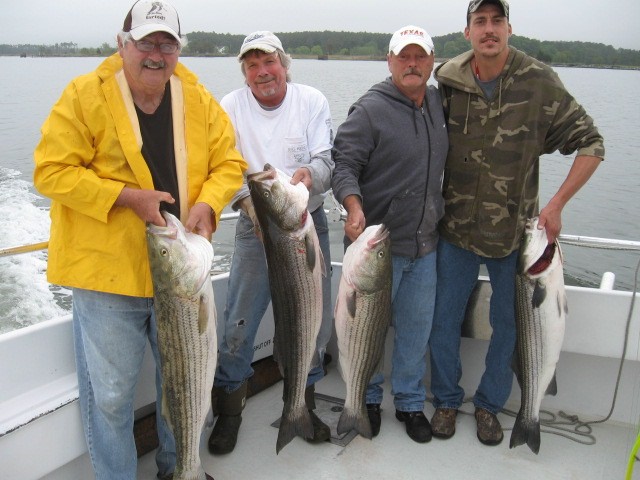 A Full Limit Of Maryland Rockfish By 8am? No Problem! Maryland Chesapeake Bay Fishing Charters