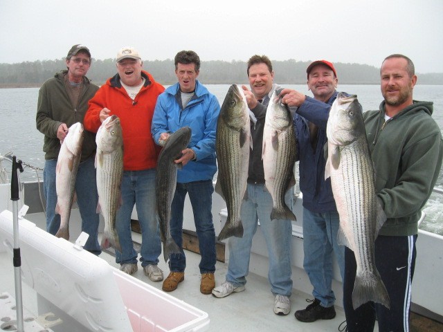 BIG Chesapeake Bay Striped Bass From Maryland's Eastern Shore! Maryland Chesapeake Bay Fishing Charters