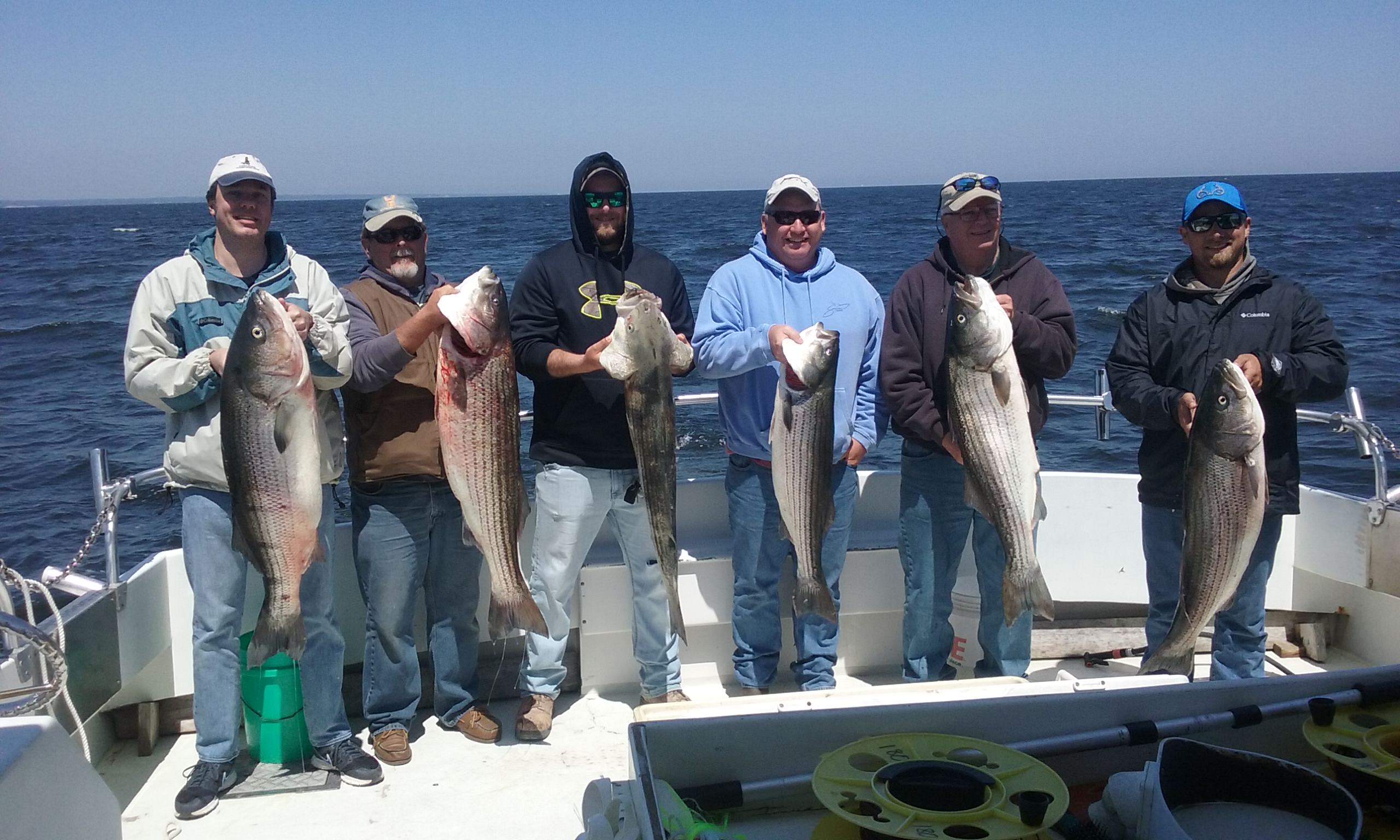 First Limit Of Maryland Rockfish - 2018!