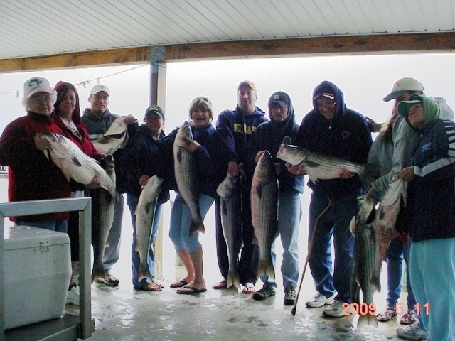 Maryland Rockfish!