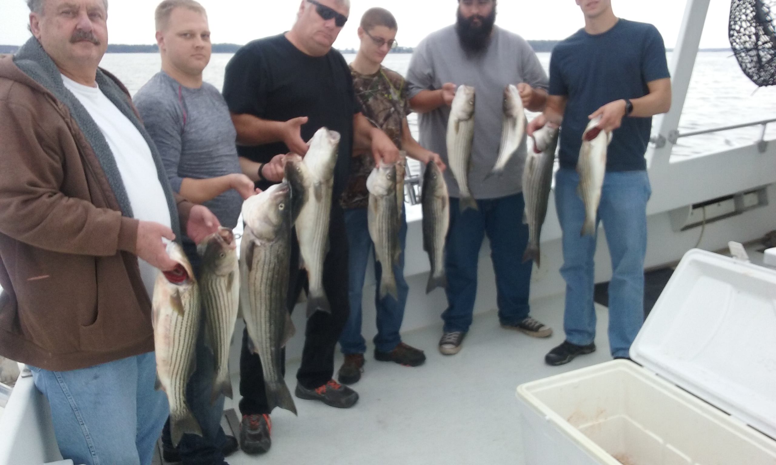 More Maryland Rockfish From The Chesapeake Bay!