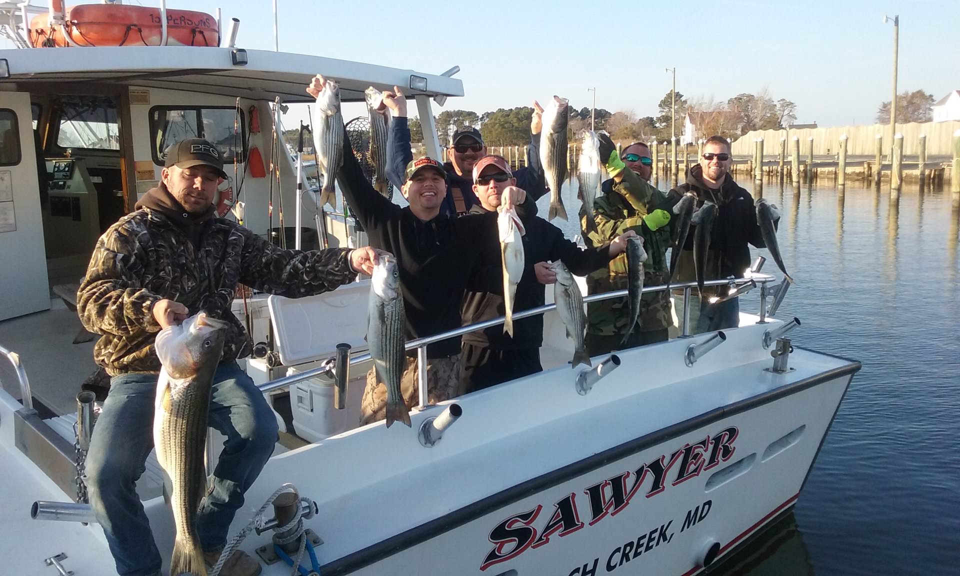 Another Great Catch of Maryland Rockfish!