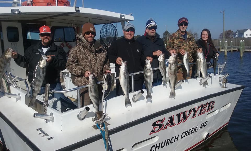 Great Day of Maryland Fishing Right before Thanksgiving!