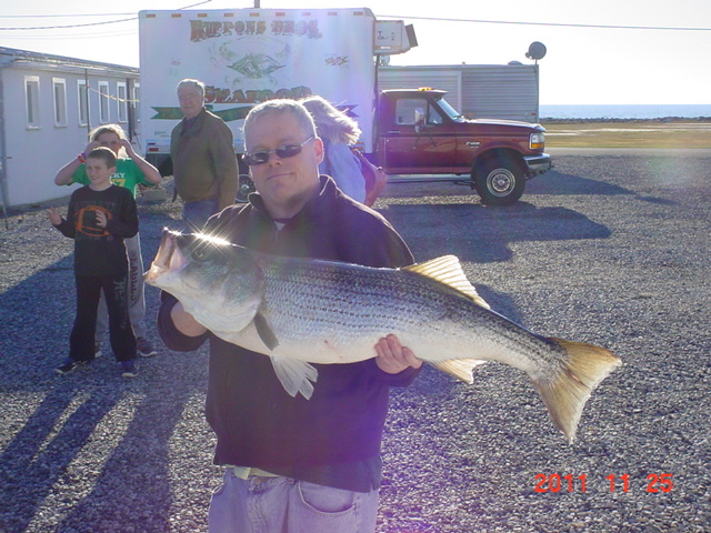 Trophy Maryland Chesapeake Bay Striped Bass
