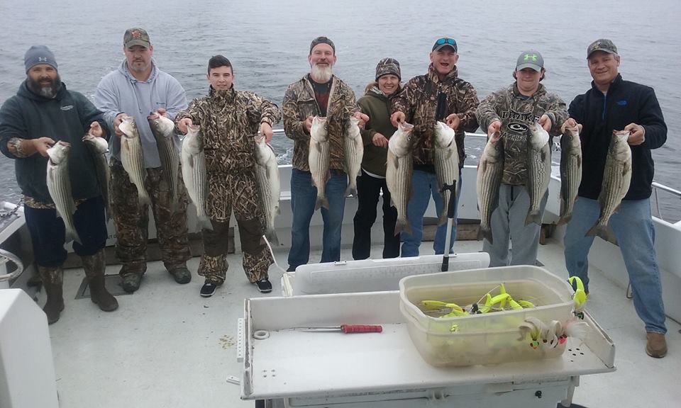 Maryland Rockfish On Display For Black Friday!