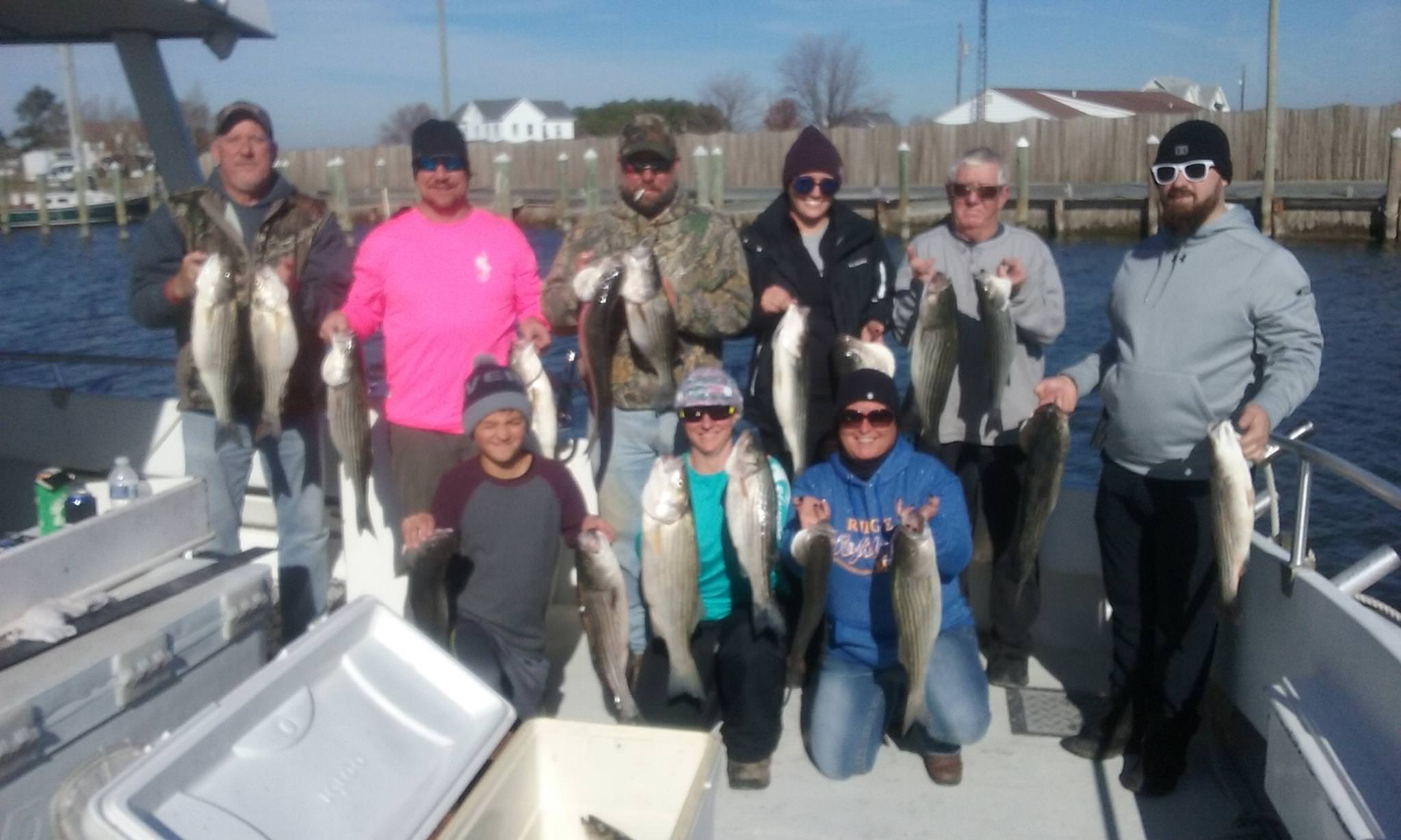 Chesapeake Bay Rockfish from Maryland's Eastern Shore!