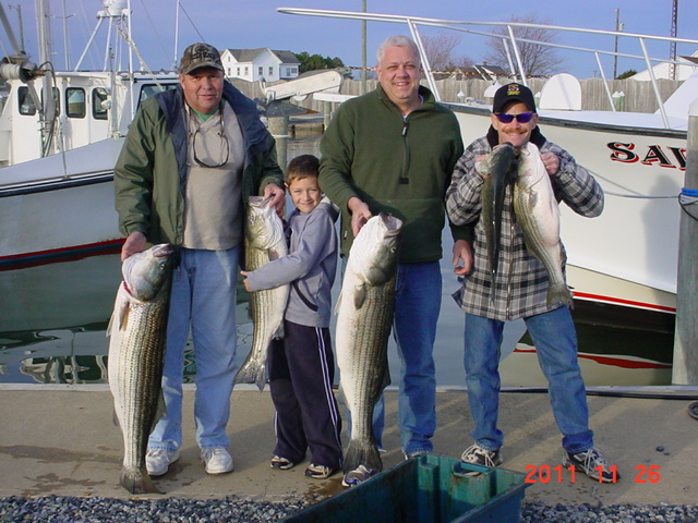 Trophy Maryland Rockfish!