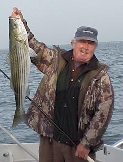 Maryland Rockfish