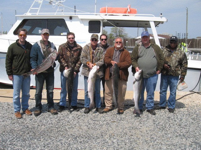 Trophy Maryland Rockfish On The Chesapeake Bay - Sawyer Chesapeake Bay Fishing Charters