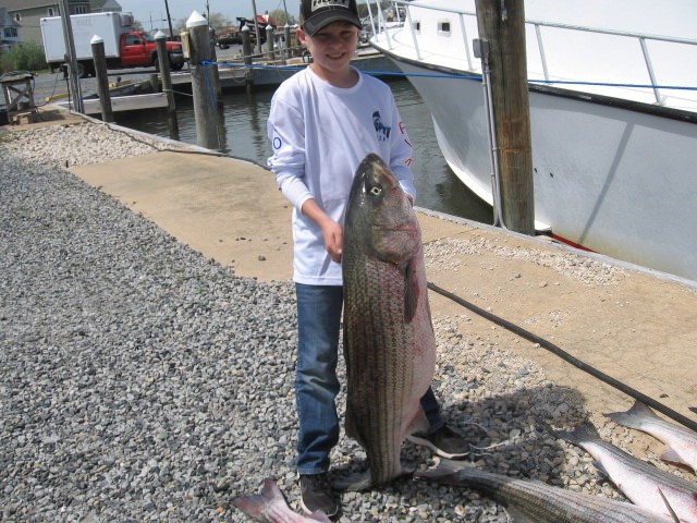 Young Man With HUGE Rockfish! Sawyer Chesapeake Bay Fishing Charters