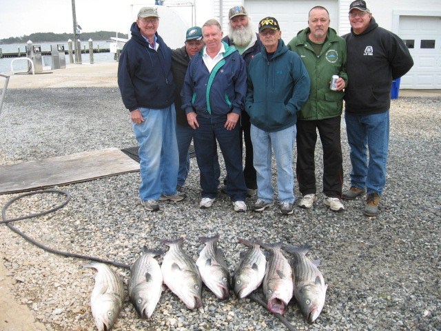 Another Big Day Of Fishing On The Chesapeake Bay! Sawyer Chesapeake Bay Fishing Charters