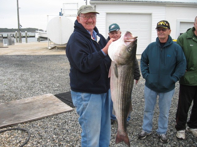 90 Year-Old Man Reels In Whopper Striped Bass!