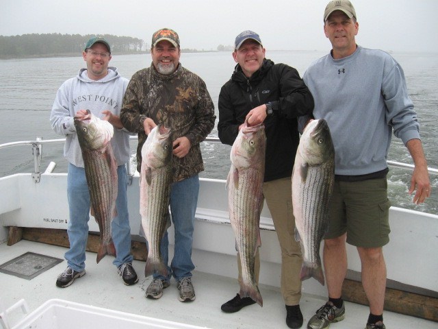 BIG Chesapeake Bay Striped Bass Caught From Maryland's Eastern Shore! Sawyer Chesapeake Bay Fishing Charters
