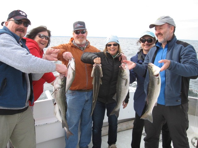 Fishing For Rockfish On The Chesapeake Bay! Sawyer Chesapeake Bay Fishing Charters From Maryland's Eastern Shore!