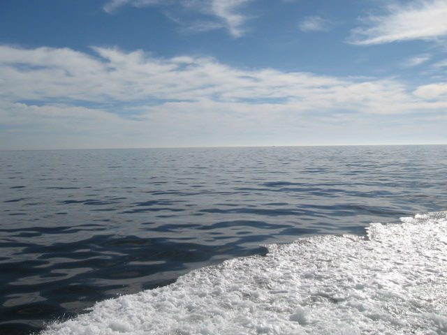 A Perfect Day On The Chesapeake Bay! Sawyer Chesapeake Bay Fishing Charters From Maryland's Eastern Shore!